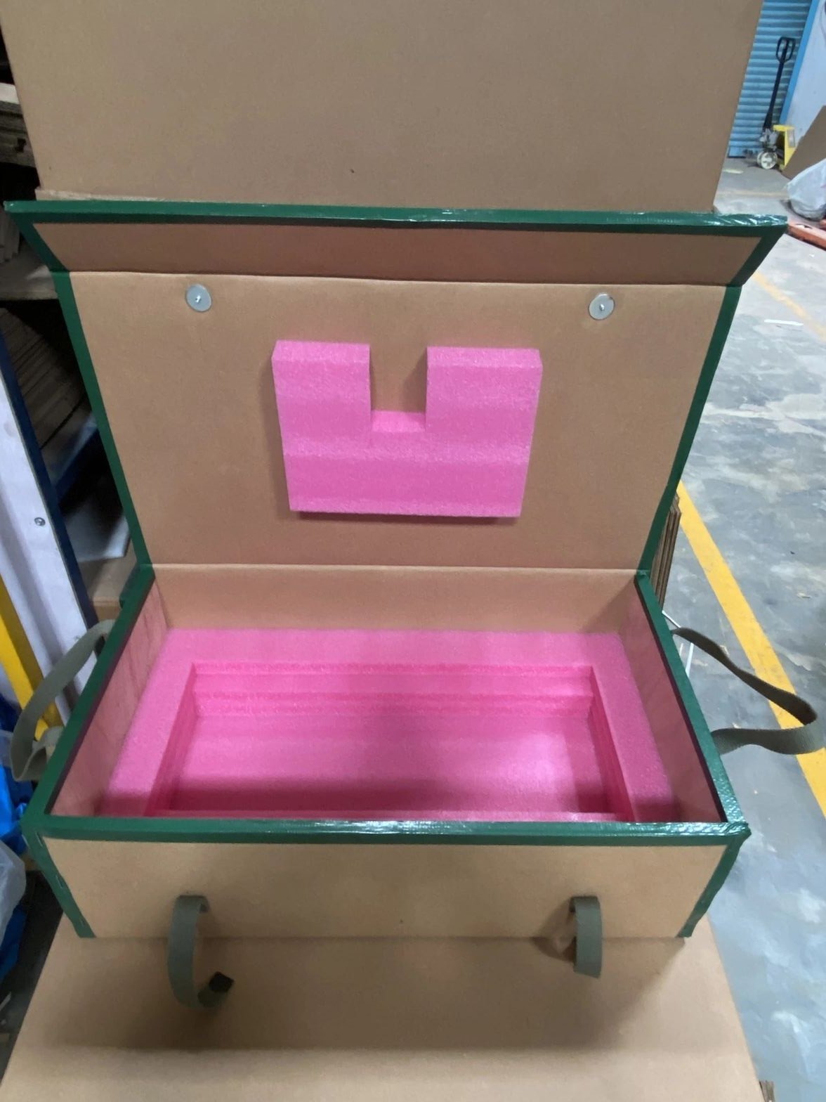 Pink anti-static foam cavity in a green-edged case